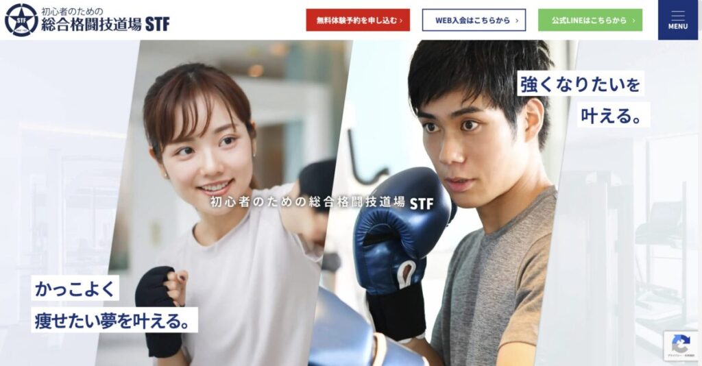 総合格闘技道場 STF