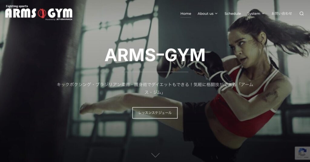 ARMS-GYM